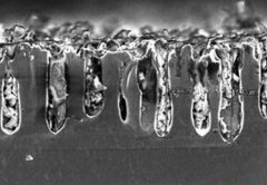 <b>{׿늳ػ׌ԪС</b>