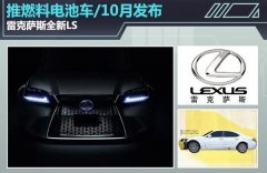 <b> ׿_˹ȫLS ȼ늳܇/10°l(f)</b>