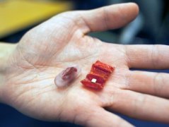 `̼~늳Ҳ]Pϵ @΢͙CMw