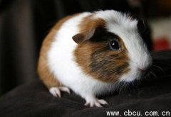 о΁?zhn)늳?ɾSϵС͙C(j)\(yn)