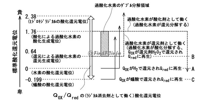 1+1>2?SΌȼ늳еĻW˥p