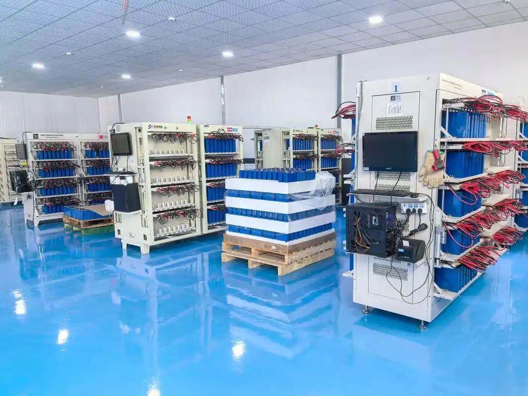 <b>S늳17|̑B늳Ŀȫز</b>